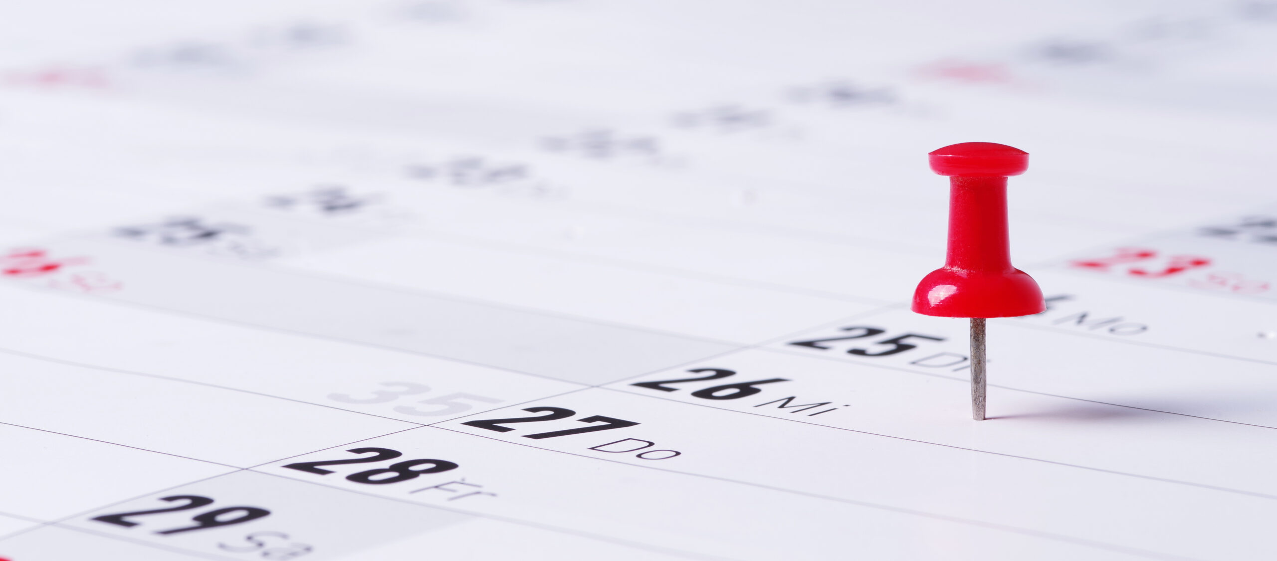 Kalender, Termin