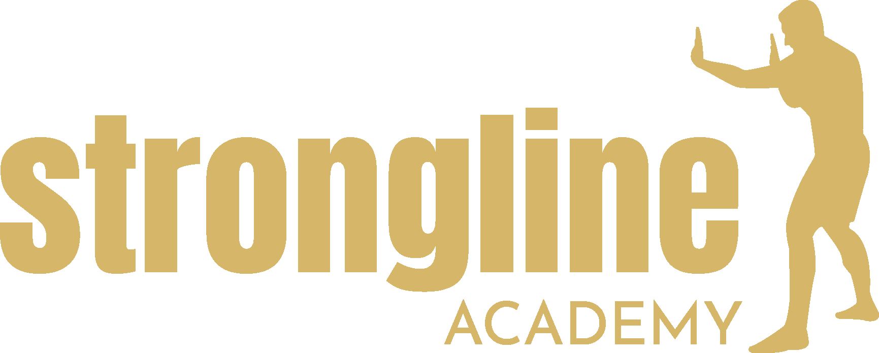 Logo Strongline Academy Selbstverteidigung München
