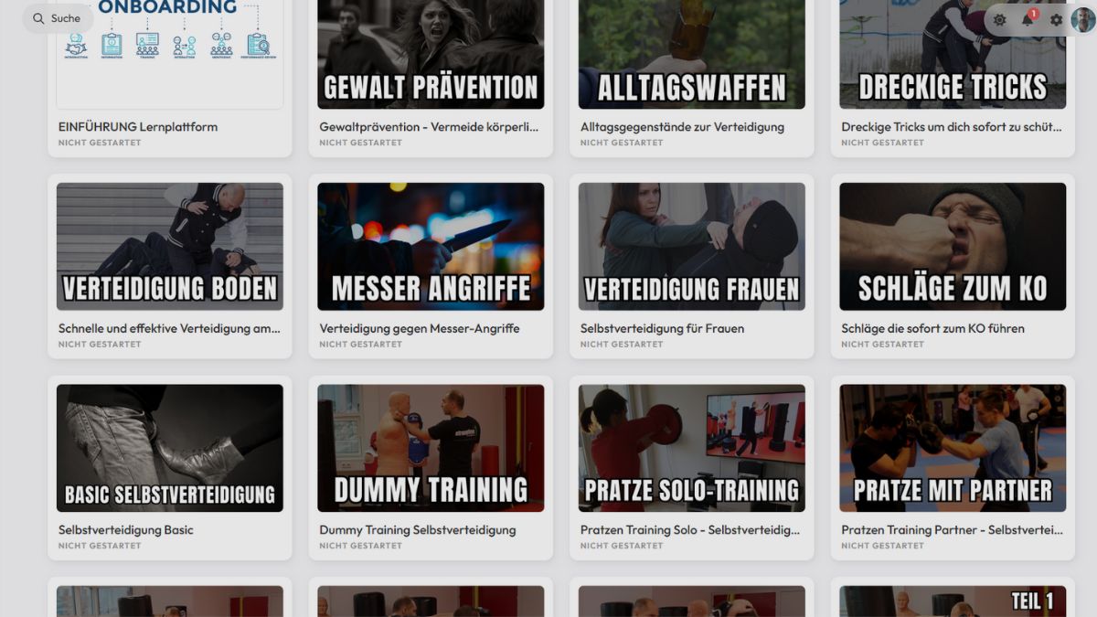 selbstverteidigung online training system in 90 tagen - strongline academy selbstverteidigung online training system in 90 tagen - strongline academy